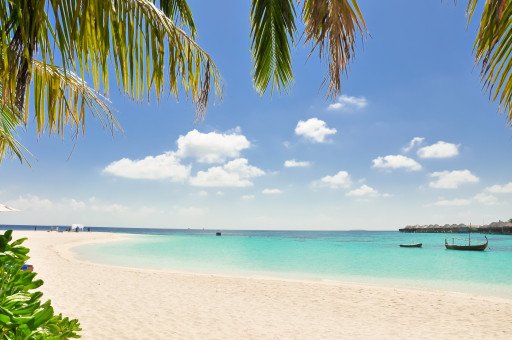 Tropical Haven Solaris Camping Beach Resort